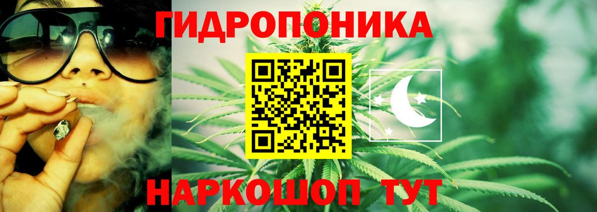 Бошки Шишки семена  Конопля марихуана  Заволжье  Вход с VPN 